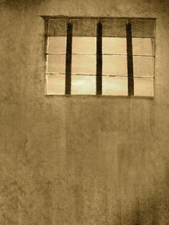 Storia di un detenuto. VIII – I miei compagni