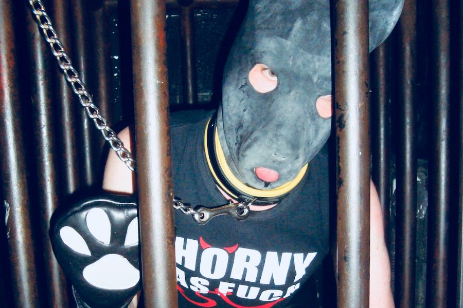 puppy e dog training sono forme di feticismo