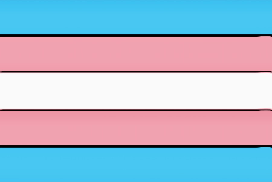 bandiera trans transgender flag