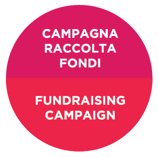 raccolta fondi