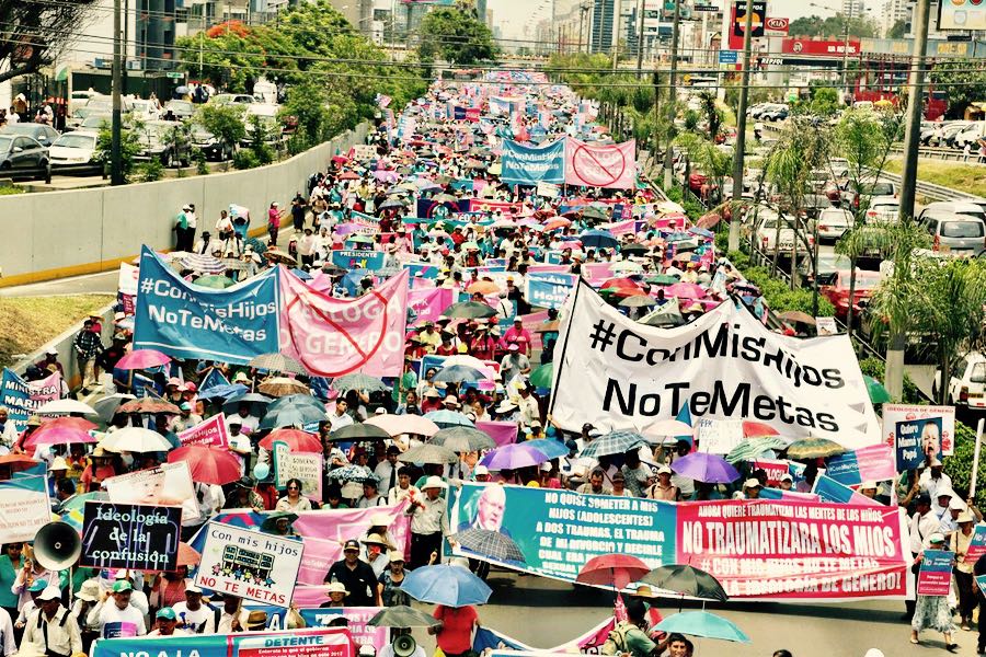 manifestazione contro ideologia gender in Peru