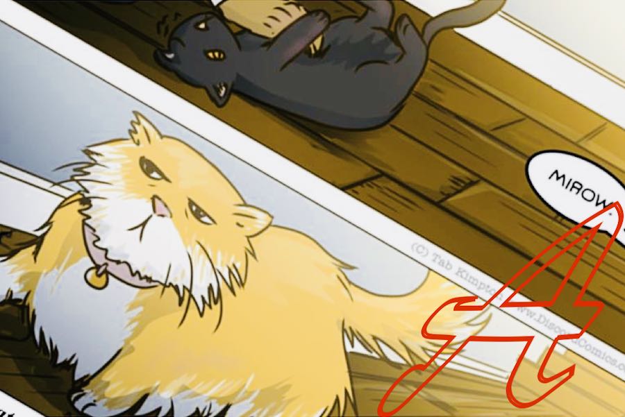 posto altre sfumature fumetti lgbt
