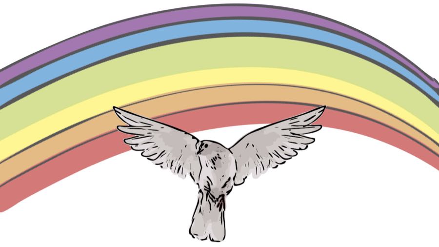 arcobaleno colomba