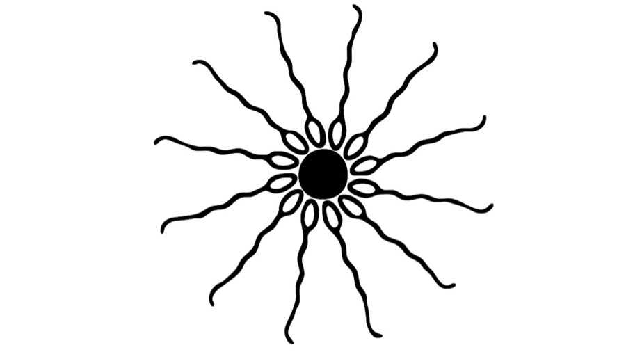 fecondazione