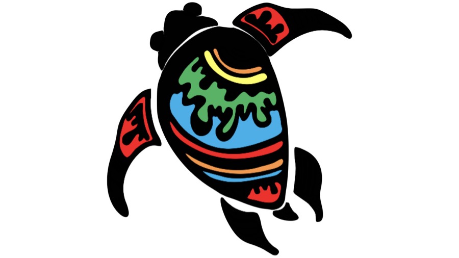 tartaruga maori