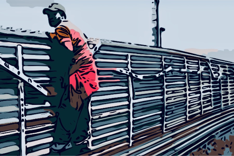 migranti muro messico usa