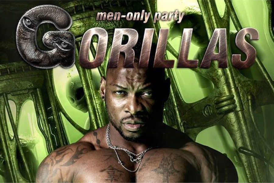 gorillas serata discoteca gay