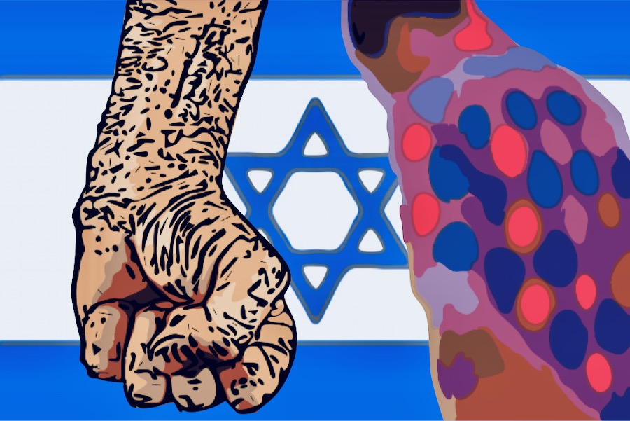 israele violenza omofobia pugno