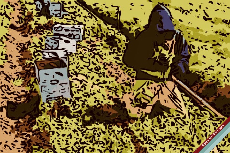lavoratore migrante agricoltura campo