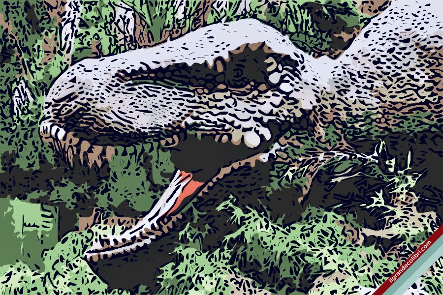 dinosauro preistoria