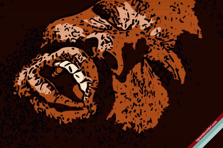 uomo nero dolore razzismo
