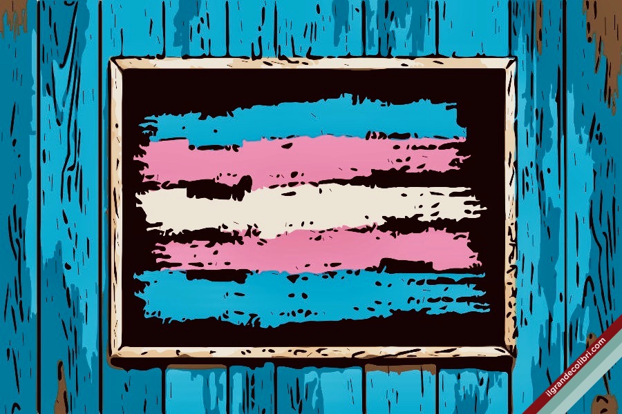 scuola lavagna bandiera transgender