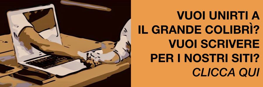 banner contatti grande colibri