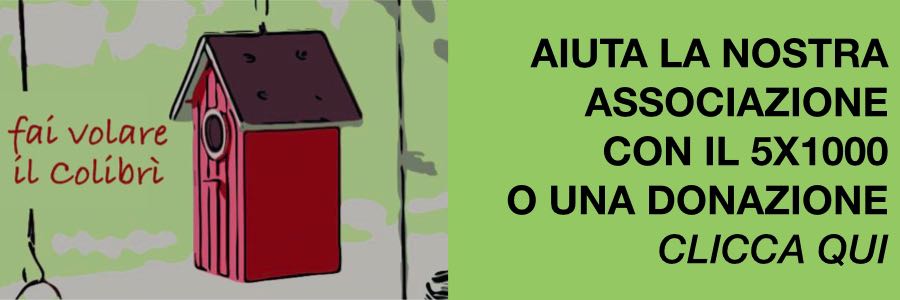 banner donazioni associazione volontariato